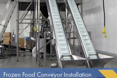 Frozen Food Sanitary Conveyor System Installation